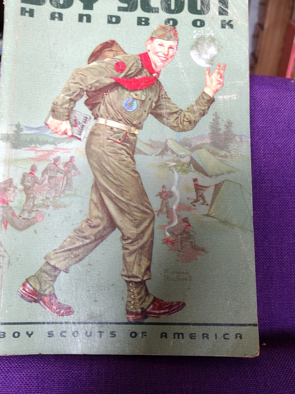 Boy Scouts Handbook Vintage-Style Green Cover
